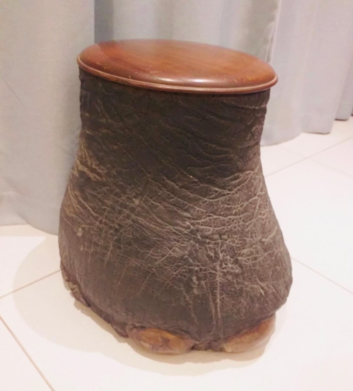 What can I do with an antique elephant's foot umbrella stand? The